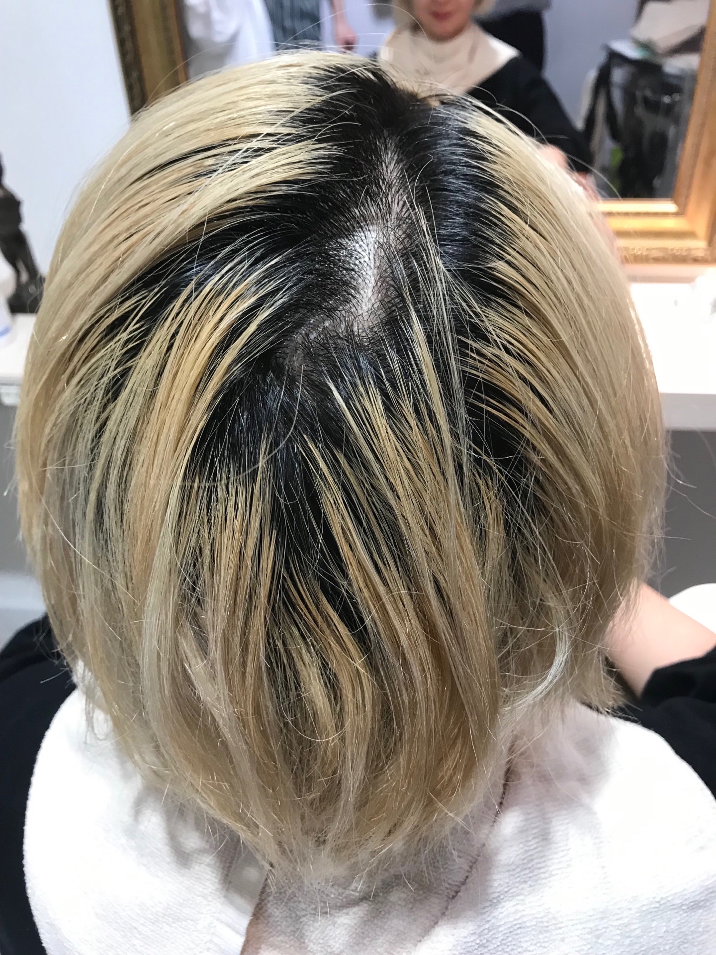 サンプル画像