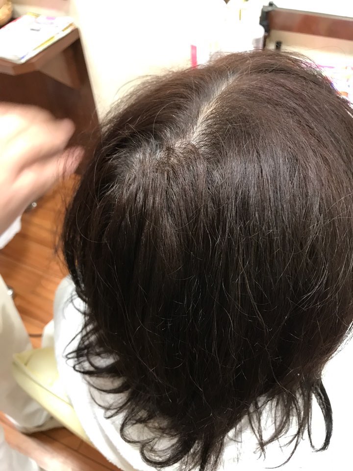 サンプル画像