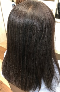サンプル画像