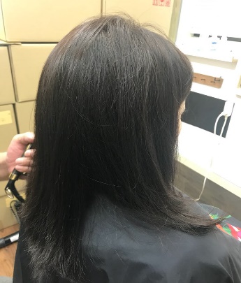 サンプル画像