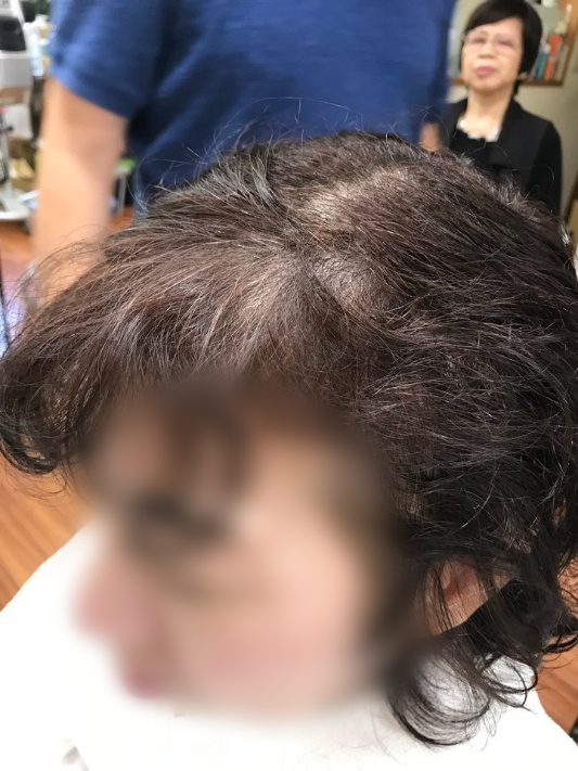 サンプル画像