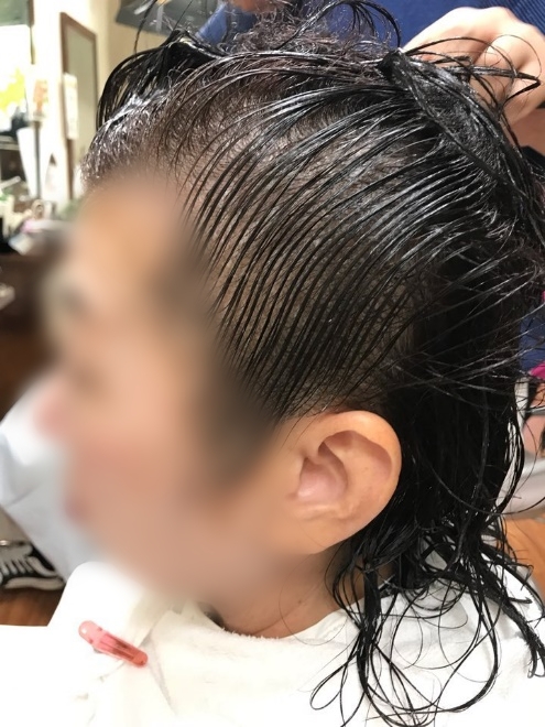 サンプル画像